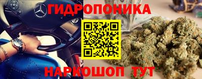 тгк Краснокаменск