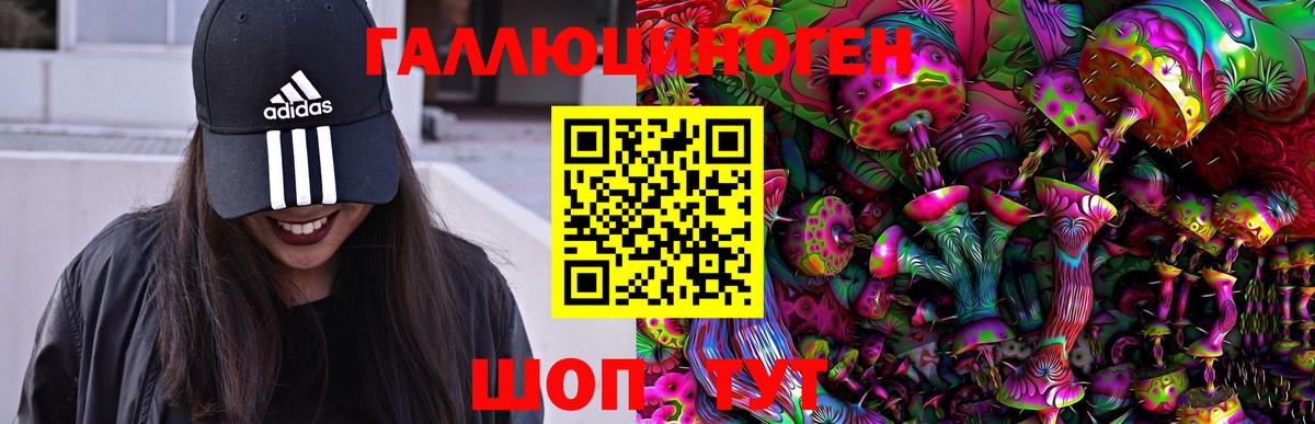 Качканар  Галлюциногенные грибы GOLDEN TEACHER  Вход с VPN 