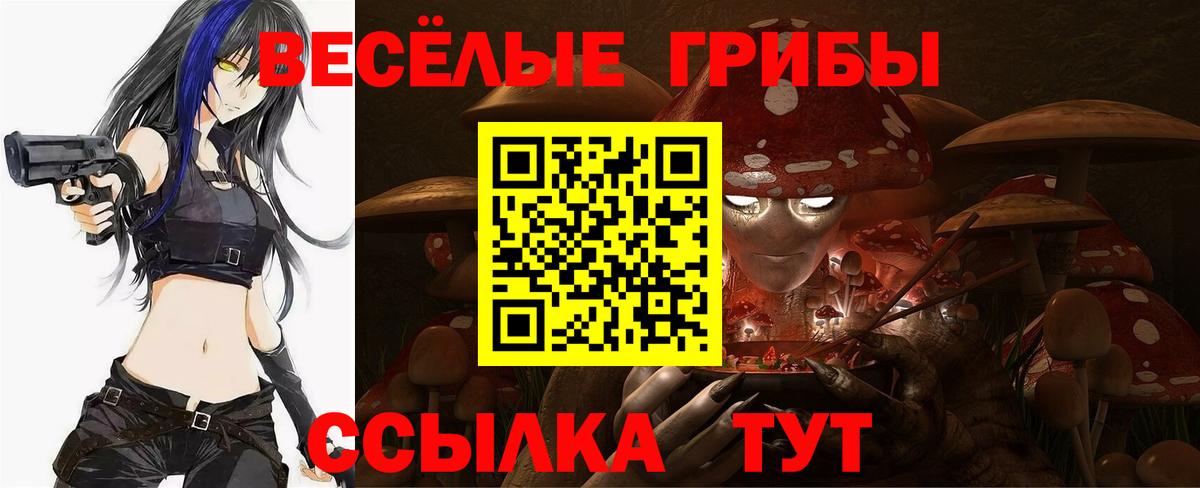 Псилоцибиновые грибы Cubensis Качканар